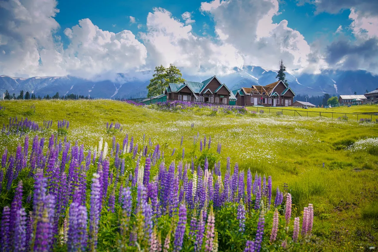 Gulmarg Kashmir