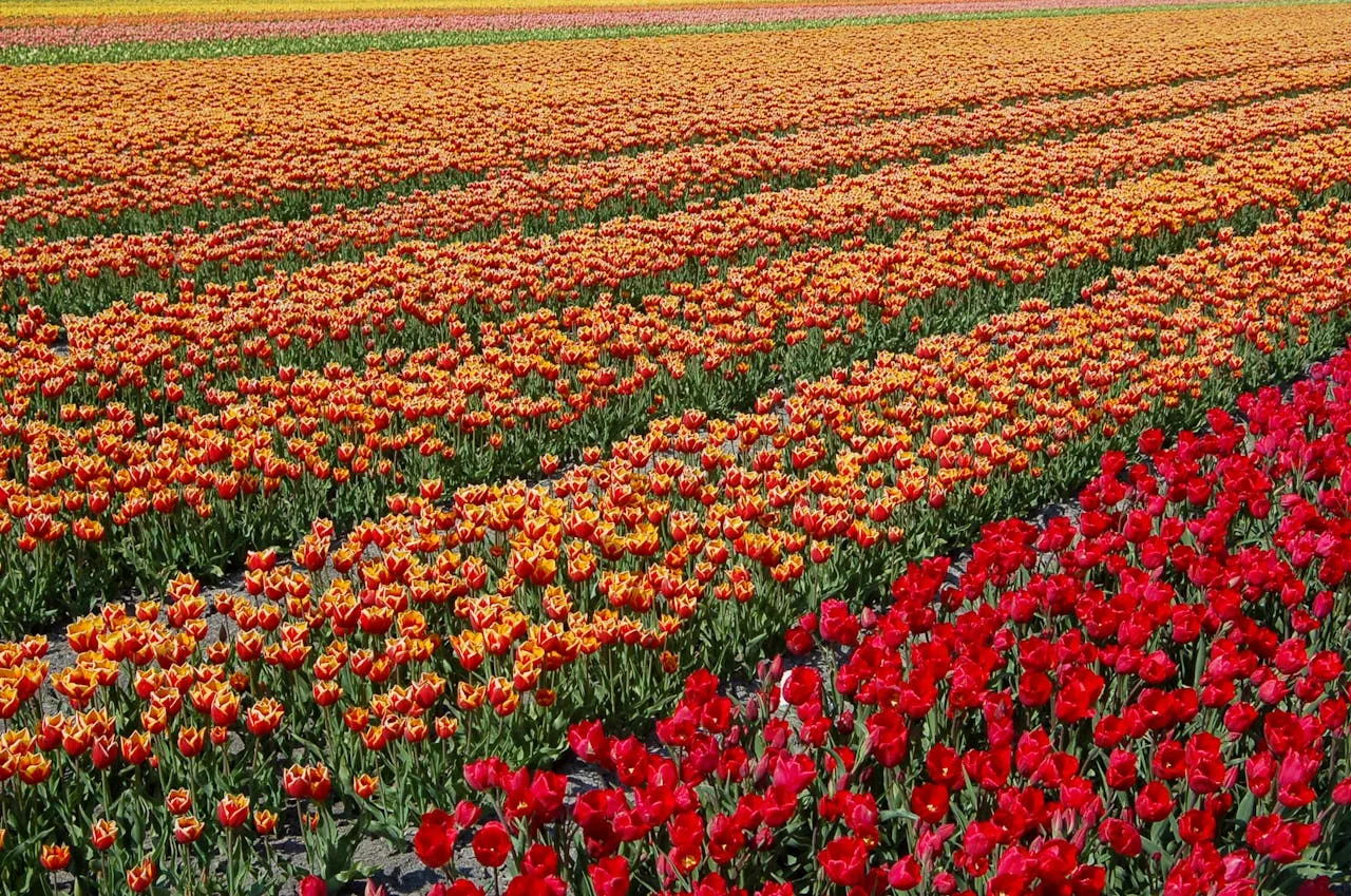 Best time to visit Kashmir seasons guide